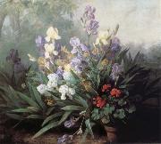 Barbara Bodichon Landscape with Irises oil painting reproduction